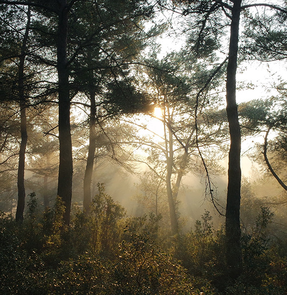 Exploring Northern Minnesota - LandBin.com