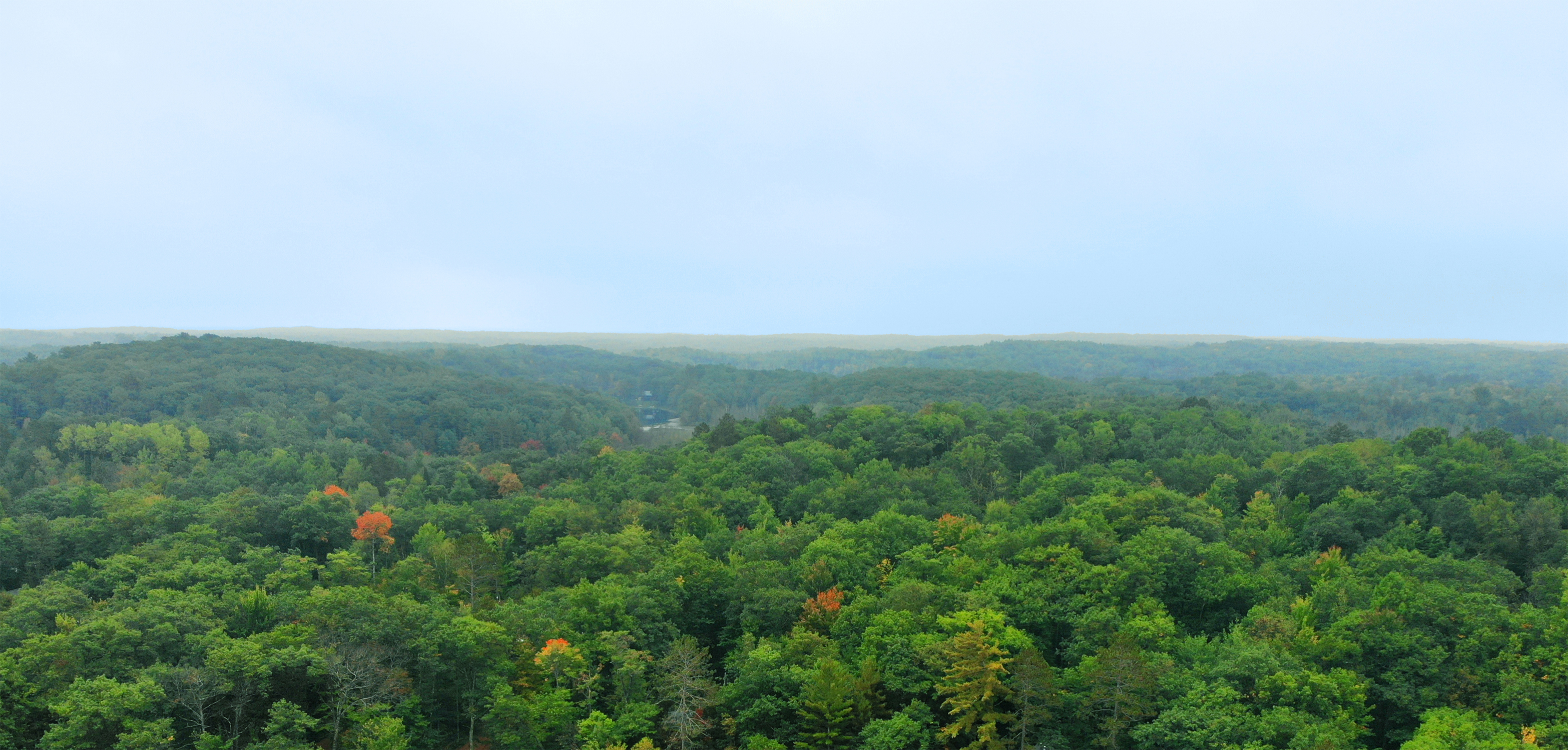 Northern Wisconsin Land For Sale